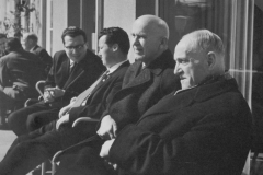 Bundespräsidenten-Wahlkampf 1963